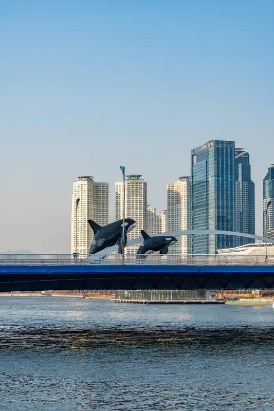 4月9日14时许，在浙江舟山枸杞岛旅游的蔡先生，在海滩发现了一具江豚尸体。这头东