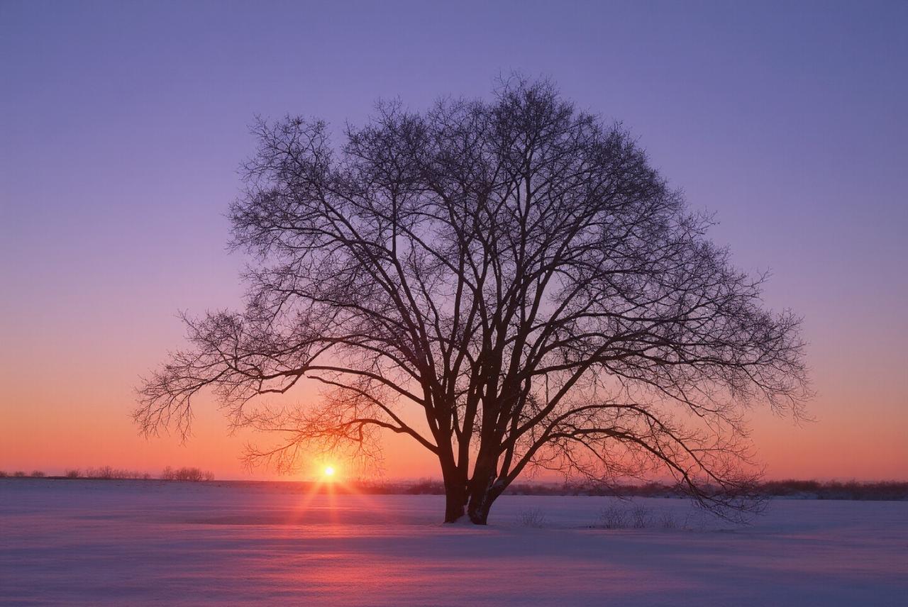 晒图笔记大赛晚霞