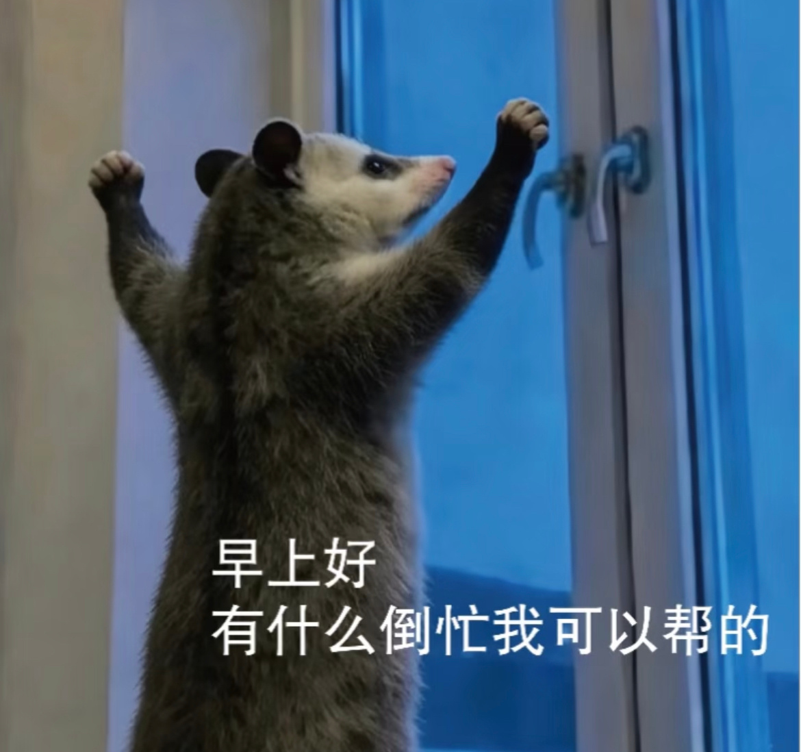 早上好家人们！美好的一周开始了～为什么是美好的一周呢，因为这周只需要上四天班早安