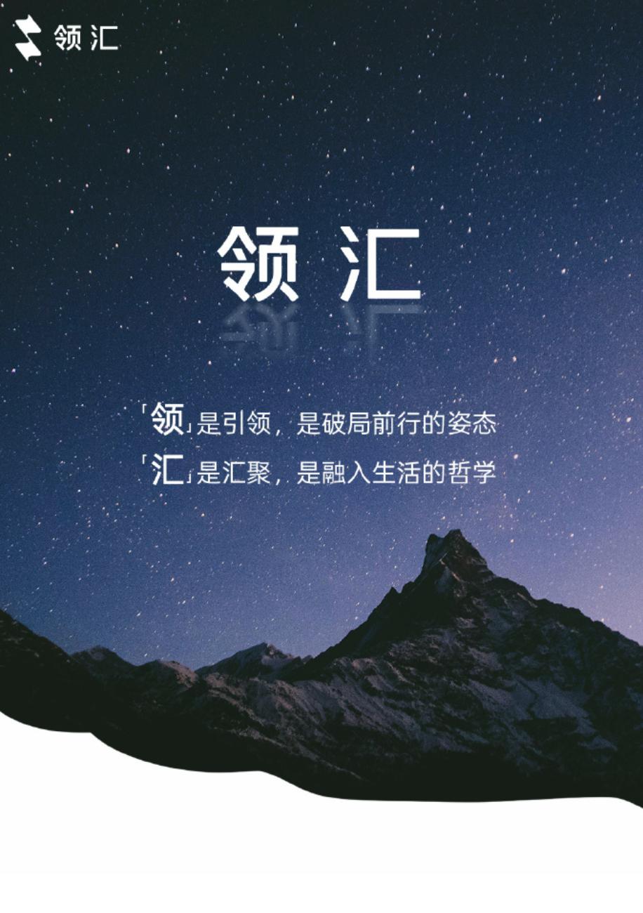 比亚迪网约车子品牌领汇M9官图发布，车长5.2米，轴距3045mm，定位中大型M