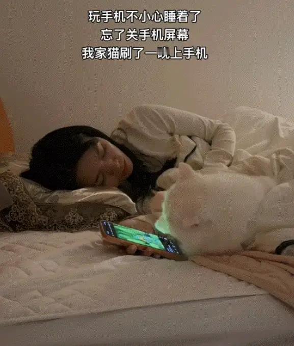 这有趣的一幕，恰似一面镜子，映照出我们这个时代的生活图景。当猫咪的肉垫在屏幕上轻