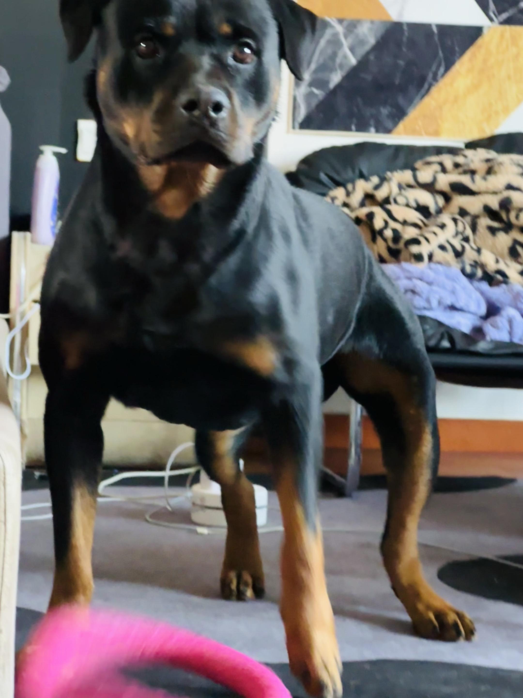 随便一站就是兵