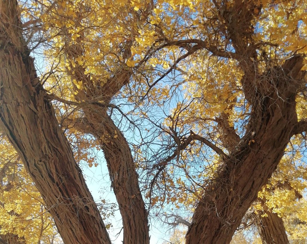 美国媒体报道，美国服务器制造商超威电脑的一名高管和两名相关人员，涉嫌将总价数十亿