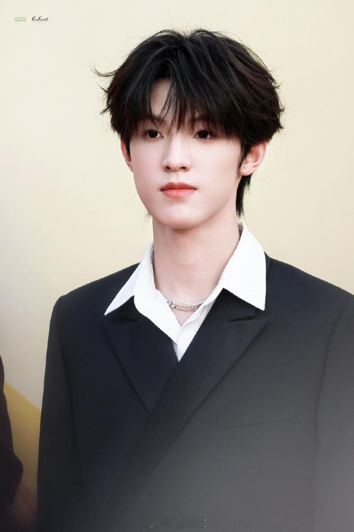 张泽禹金鸡奖活动定妆照  瞧那张泽禹金鸡奖活动定妆照呀，他活像从漫画世界走来的男