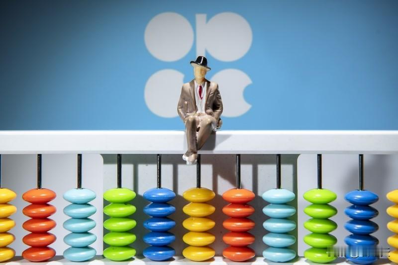 《OPEC+突然踩刹车！暂停1-3月增产，啥信号？》

财联社11月3日报道：O