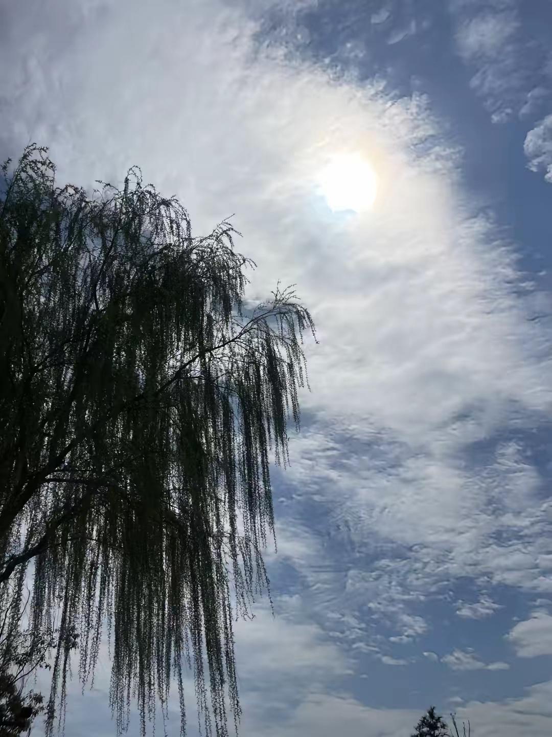 奉劝大家，现在这个大环境下，如果你手上有20.30万存款，一定要存在银行里面，哪