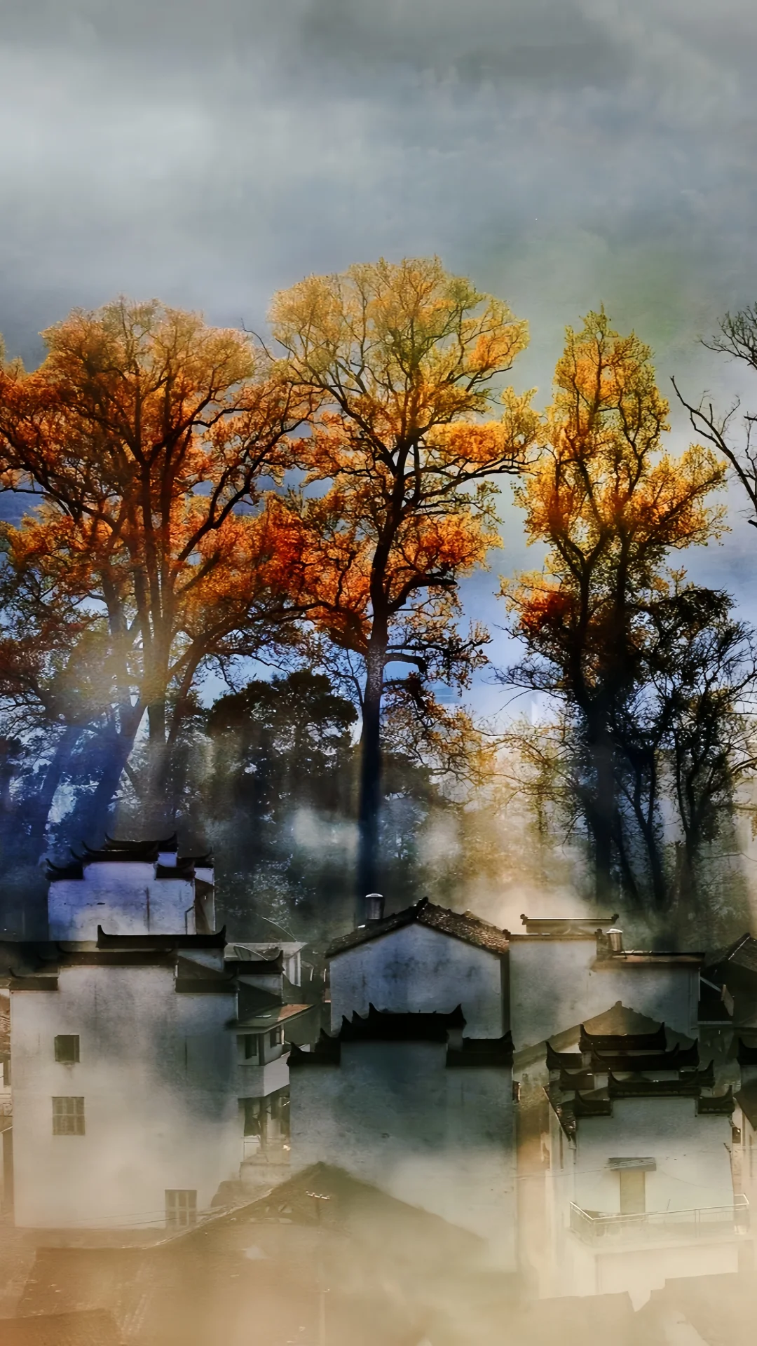 立秋|立秋不是入秋，清凉仍在路上......