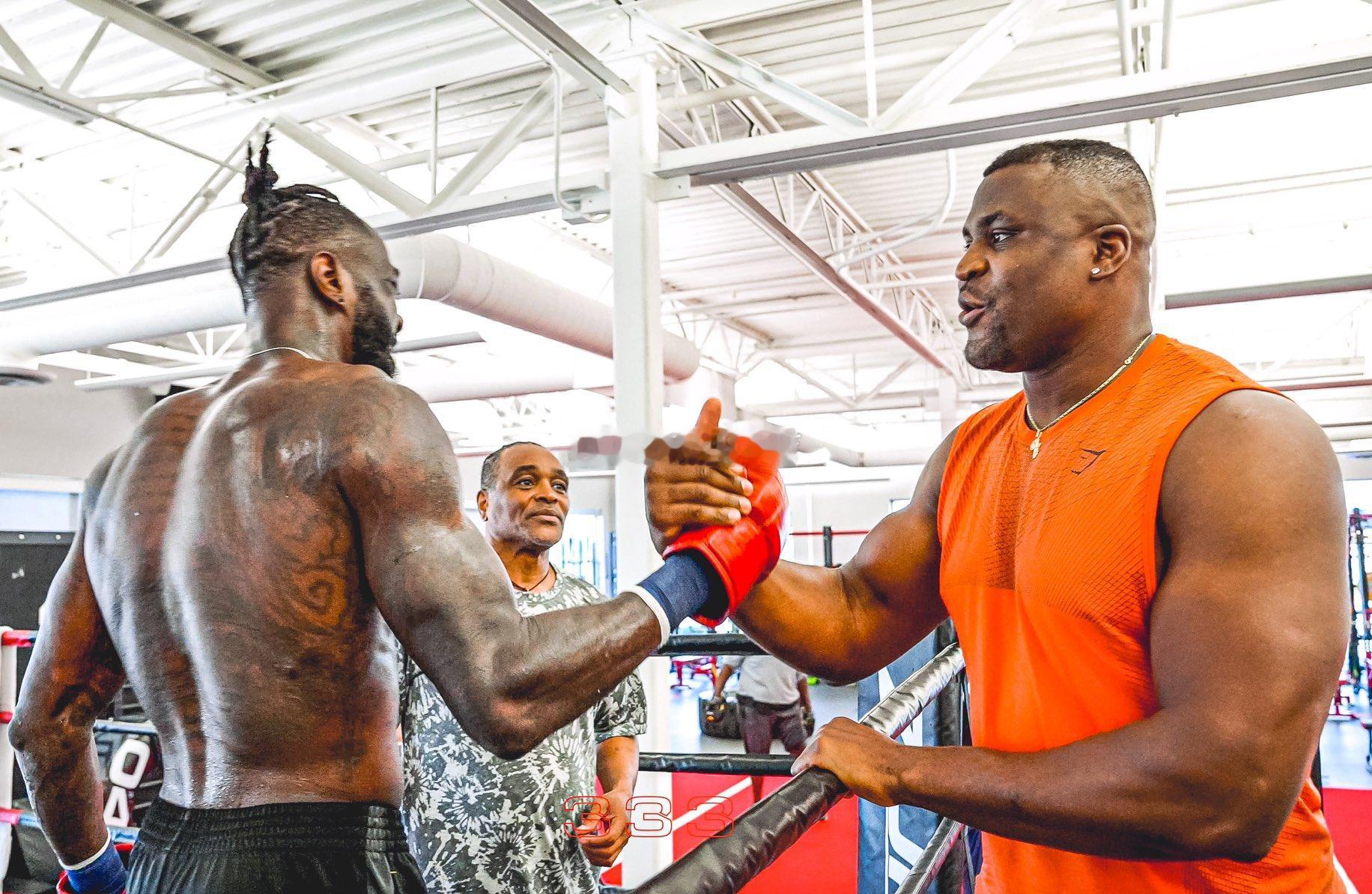 #拳坛速递# 德昂泰-维尔德Deontay Wilder 坚称自己不会退出职业拳
