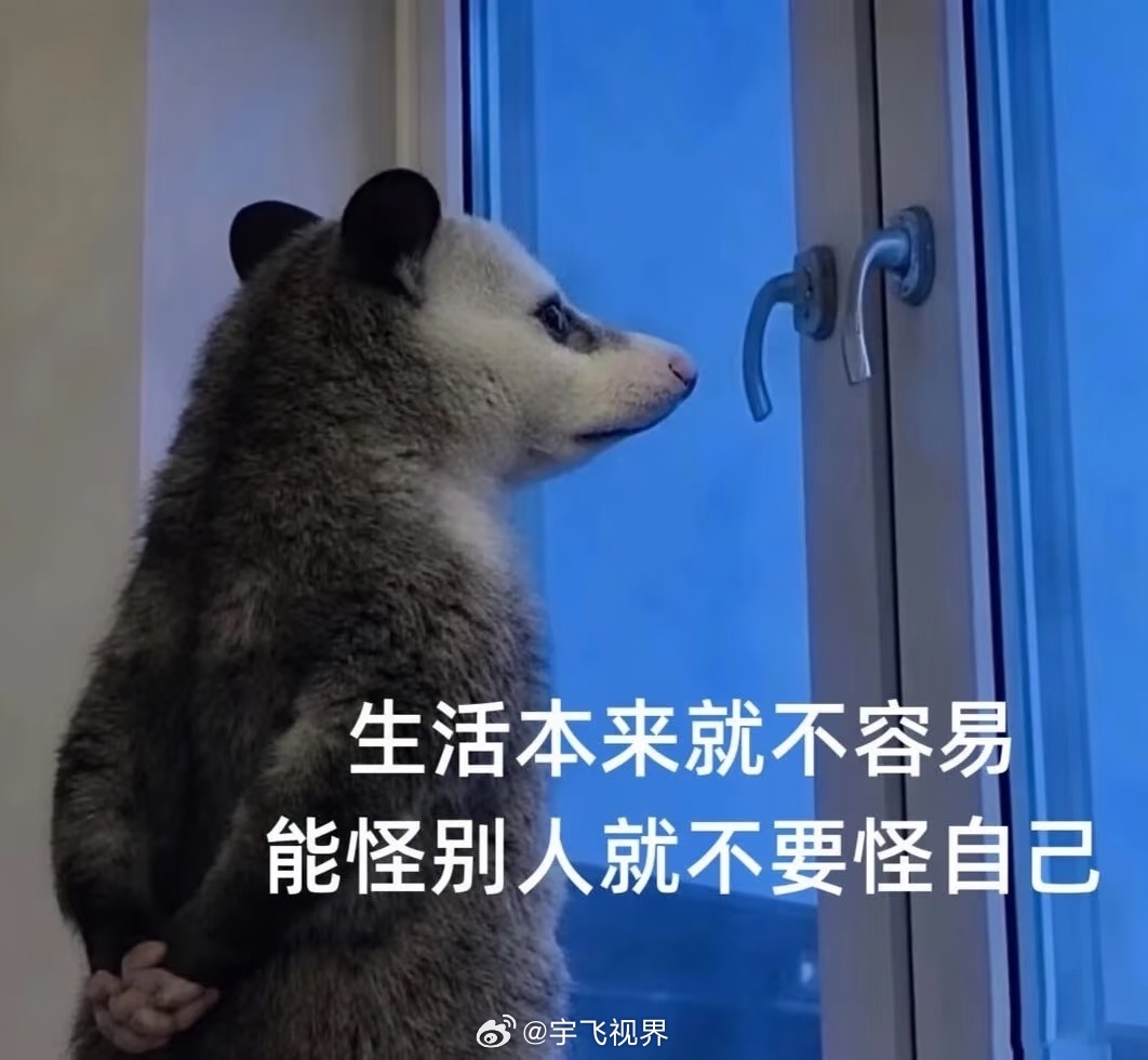 王虹教授在清华大学开讲挂谷猜想你猜我愿不愿意去？