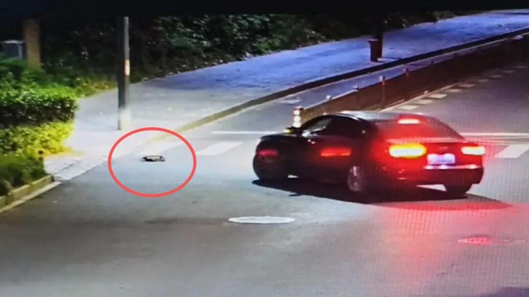 杭州代驾程师傅接单，十分钟路程走一小时，乘客潘先生反倒主动夸赞做得好！

凌晨两