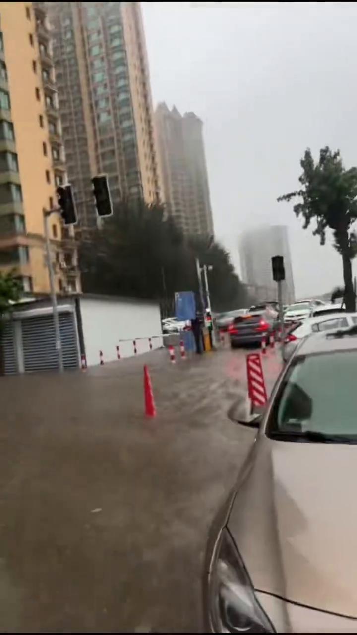 苏家屯、浑南。
这回不用去海边了，到海边了，就是这有点埋汰，大家快挪下车。已经到
