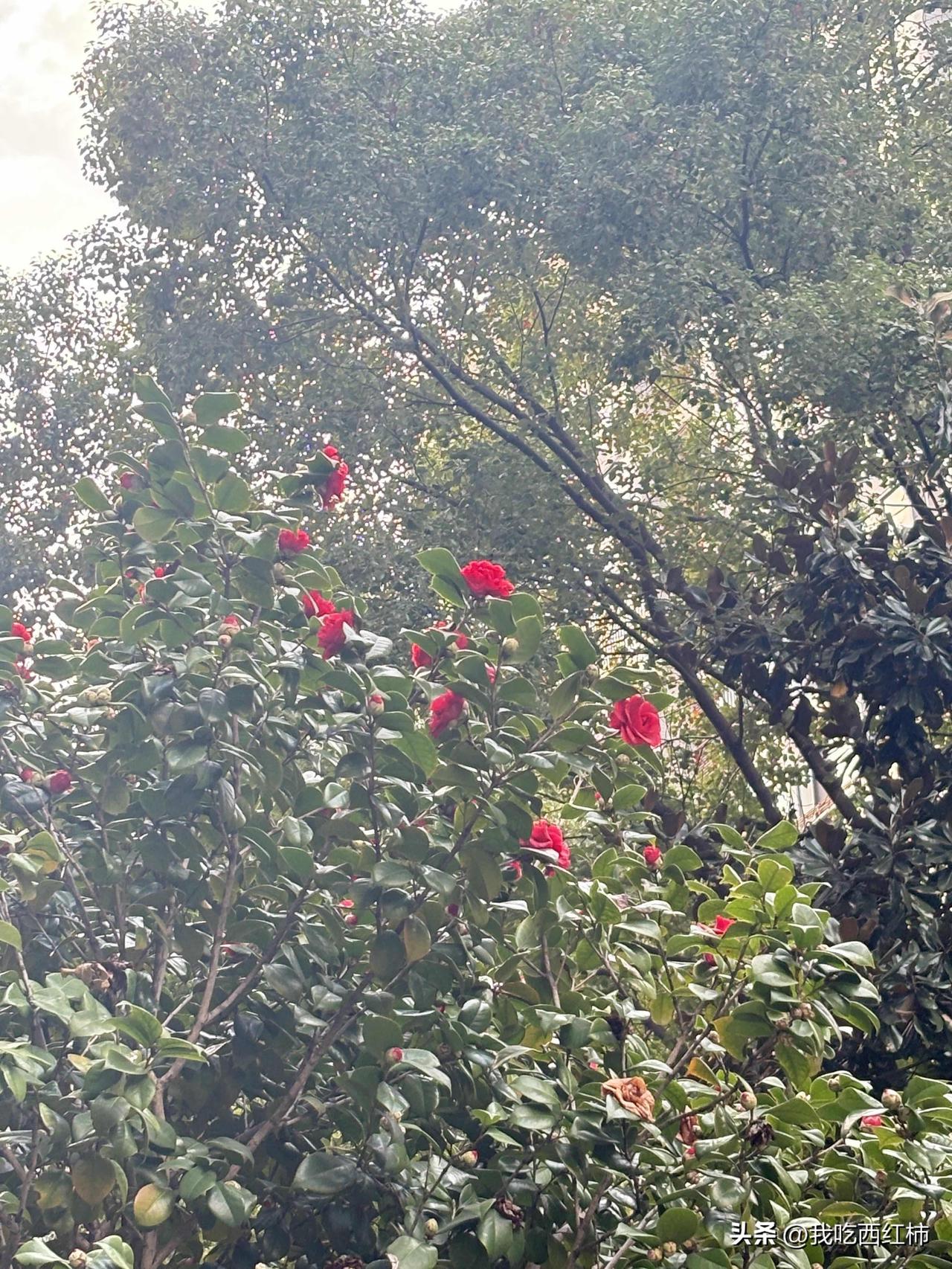 今天去相亲了一个男生，问我工资只有4000多，能不能接受，我说能接受，我自己工资