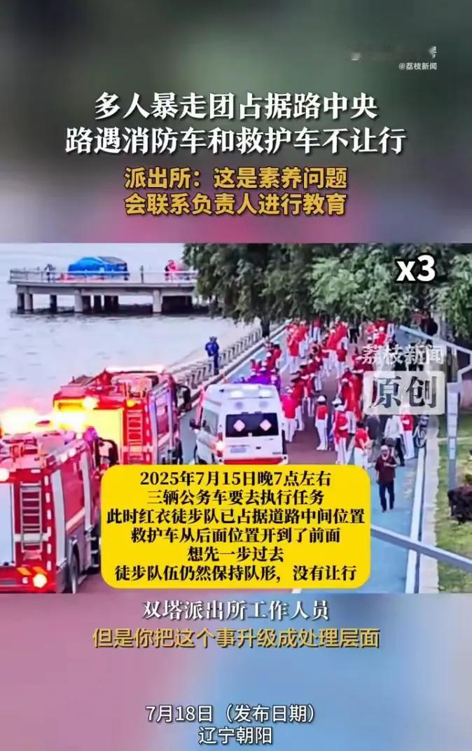 那些暴走团明显构成了集会或游行，建议依据《中华人民共和国集会游行示威法》对辽宁暴