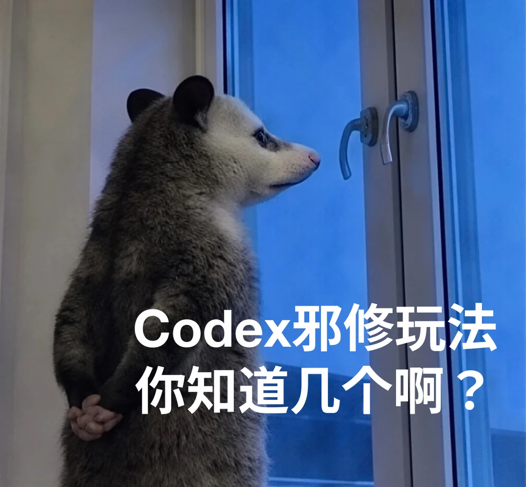 Codex邪修玩法，帮你修复网络，提升网速！