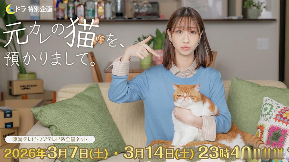 海外影视速递柏木由紀主演的新剧《暂时代管前男友的猫》确定将于3月7日与14日在东