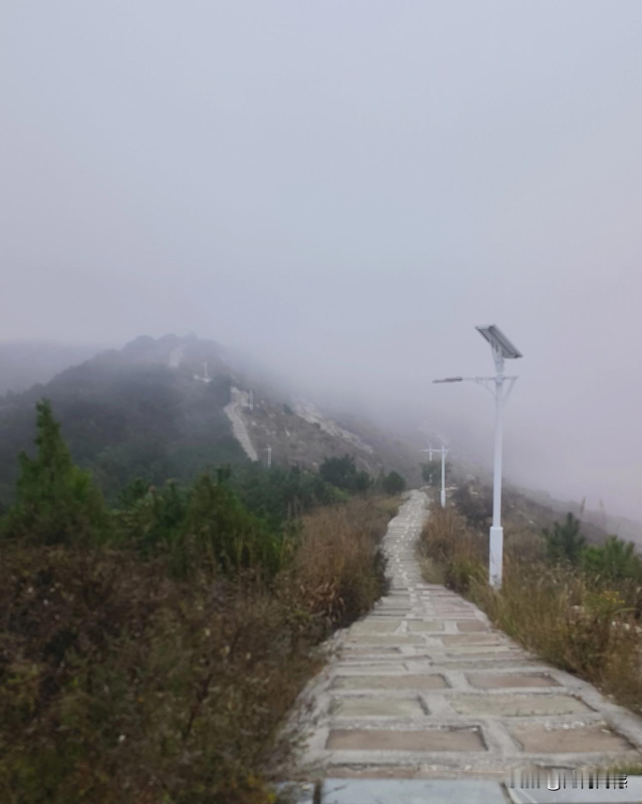 今天的雾气特别的大，走在山间小路上，远远的眺望远处的群山，都已经淹没在雾气当中，