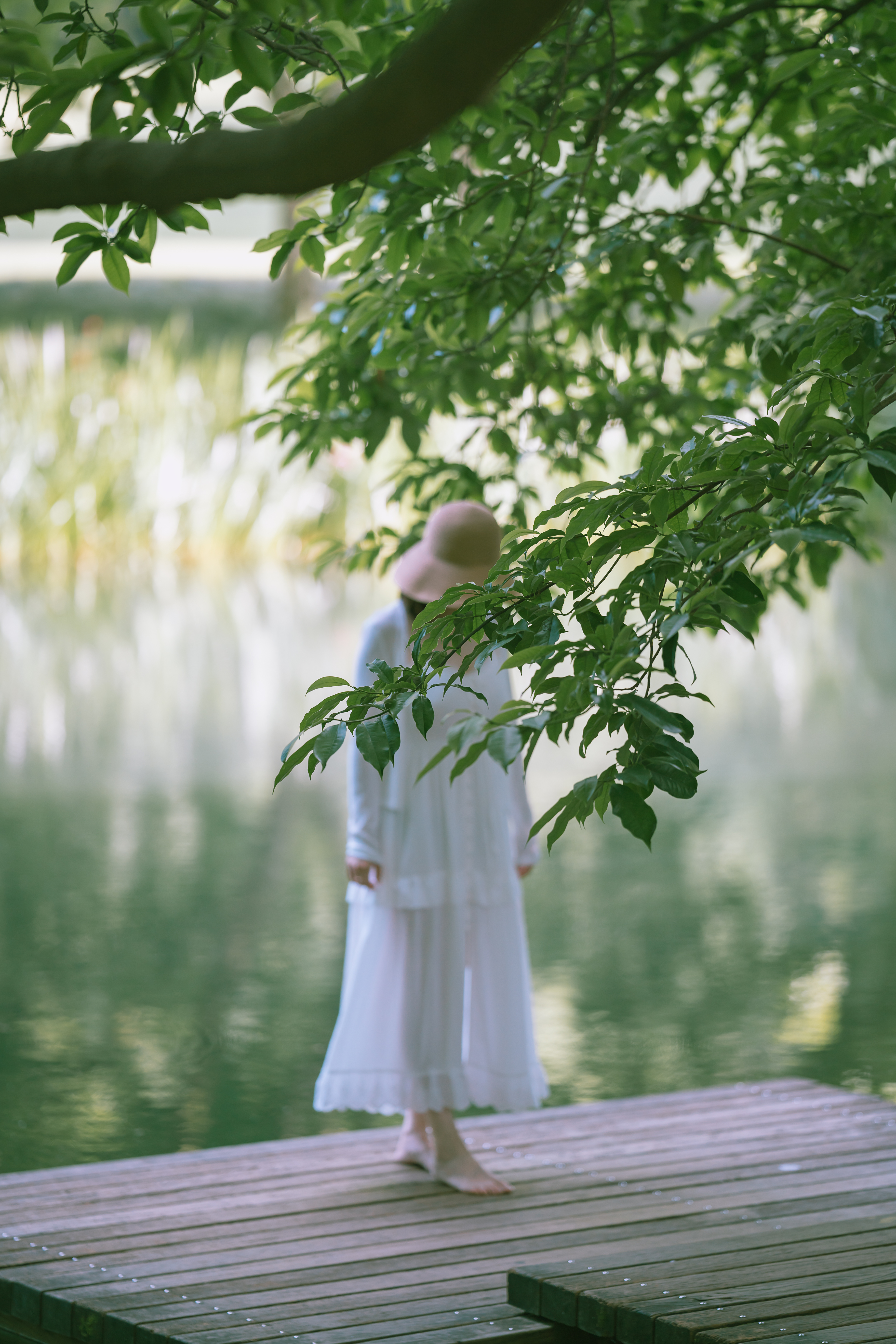 夏木沉沉绿荫浓 