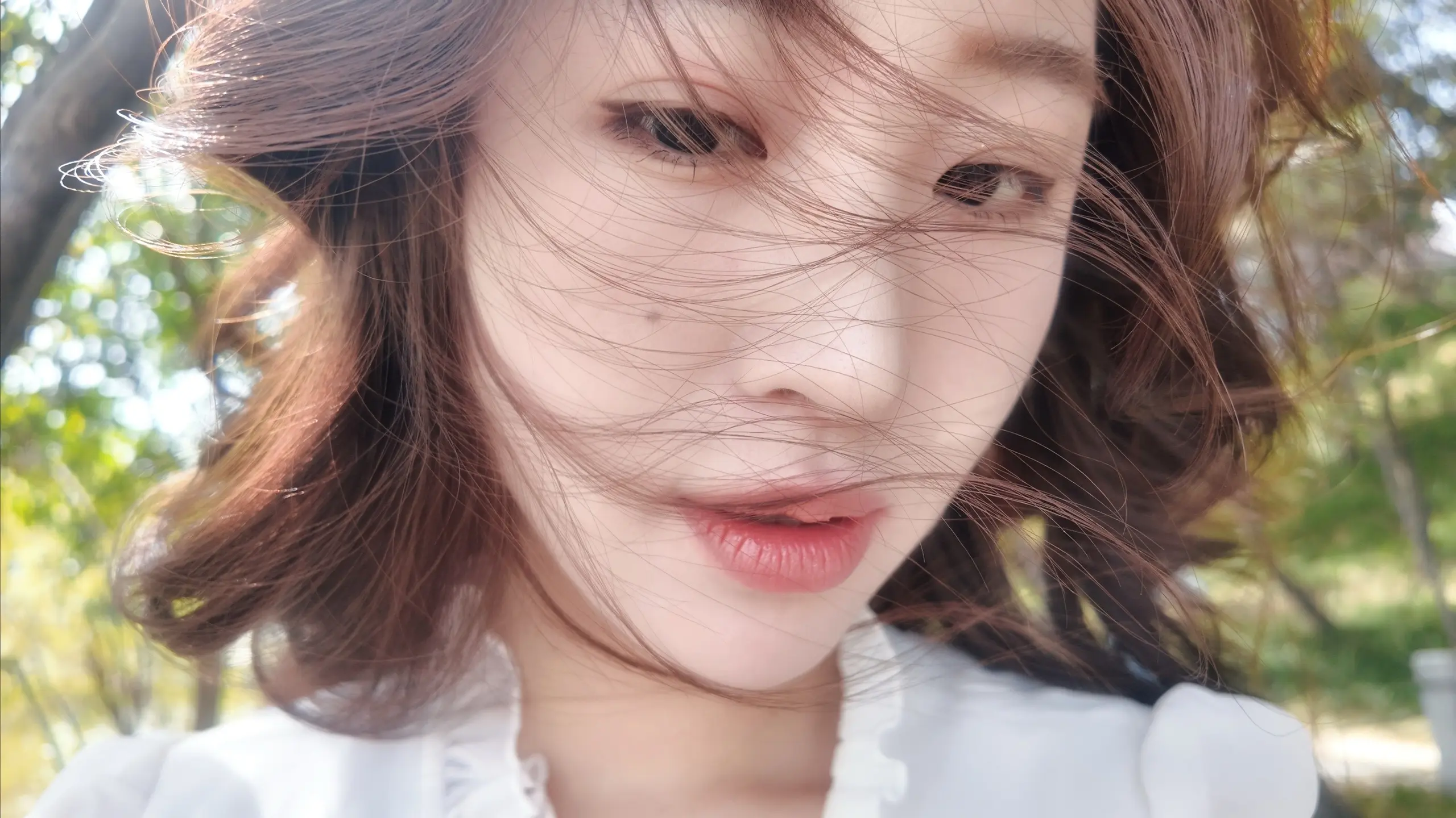 春日迟迟 春景熙熙