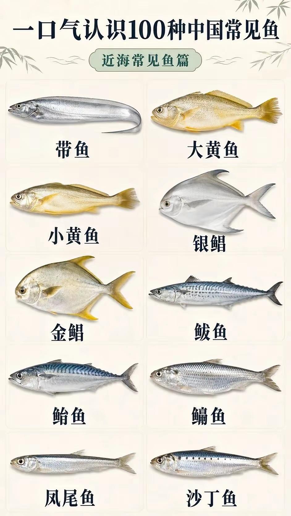 “一口气认识100种中国常见鱼！建议收藏起来！” ​​​