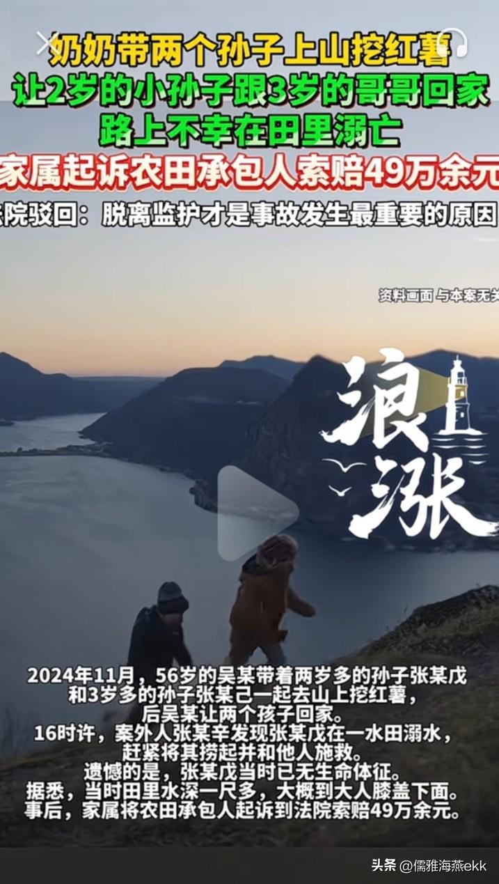 有枣没枣先打一竹杆的行为绝不惯着。奶奶让两孙子自行回家，2岁孙子农田溺亡，家属起