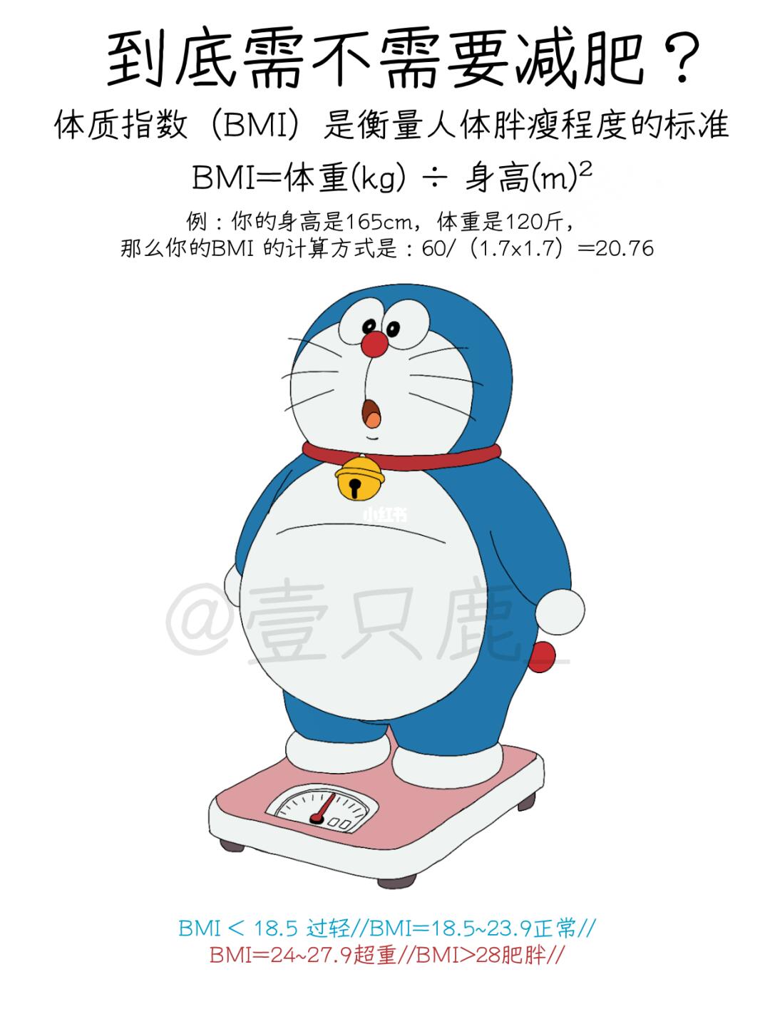 减重管理年，你做好计划了吗？