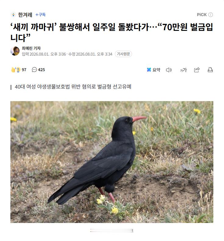 【好心收留幼鸟一周，韩国女子因违反《野生动物法》被罚70万韩元】海外新鲜事热点现