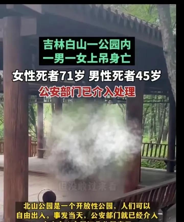 太惨了！

7月27日，吉林白山市一对母子在公园内自缢身亡。

据知情人透露，母