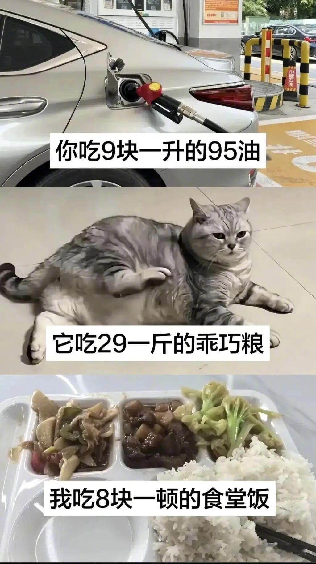 你最省钱，你8块钱至少能走40公里，9块钱一升的有也就跑个10-20公里 