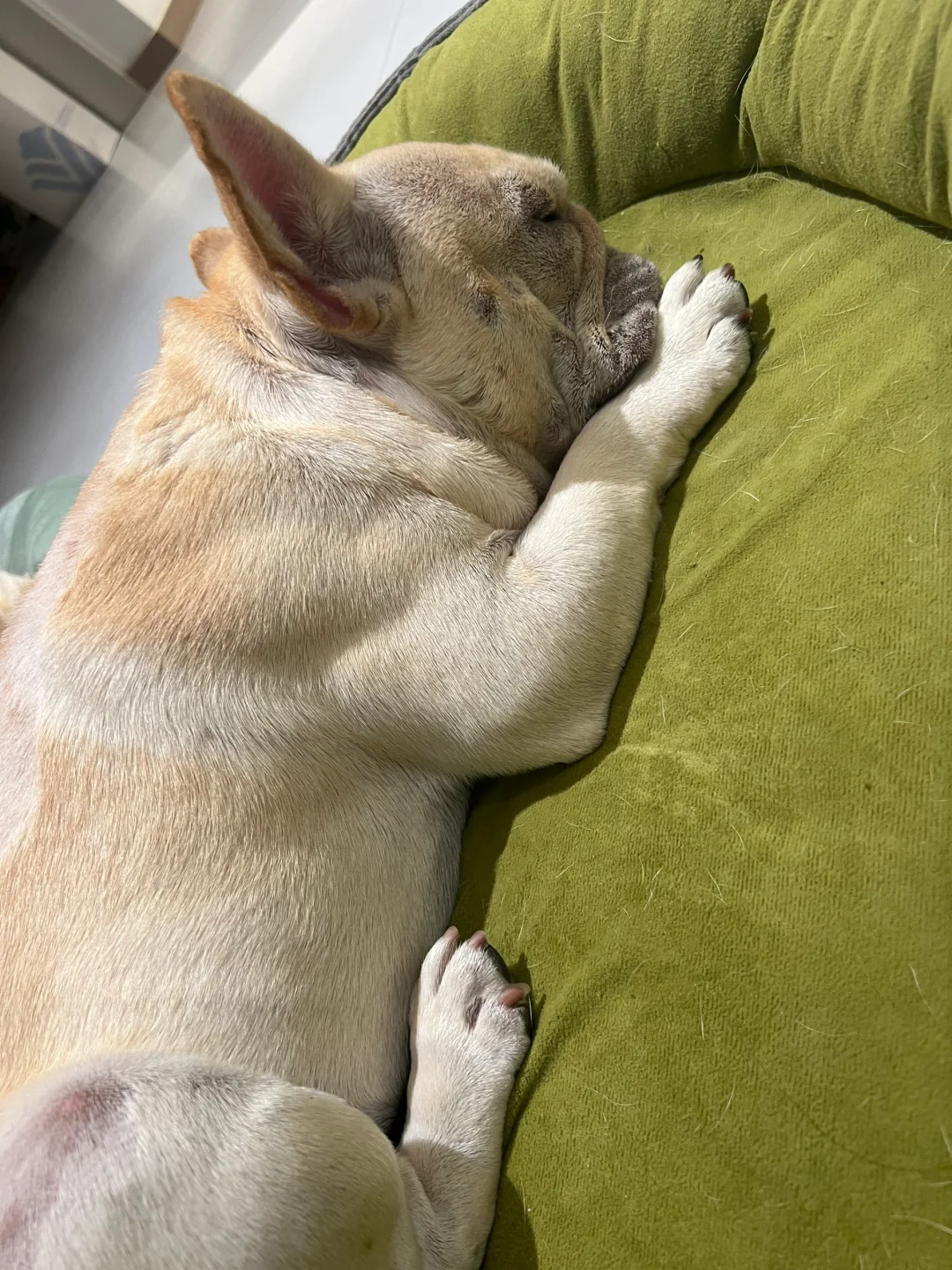 男生宿舍一般几点关灯？