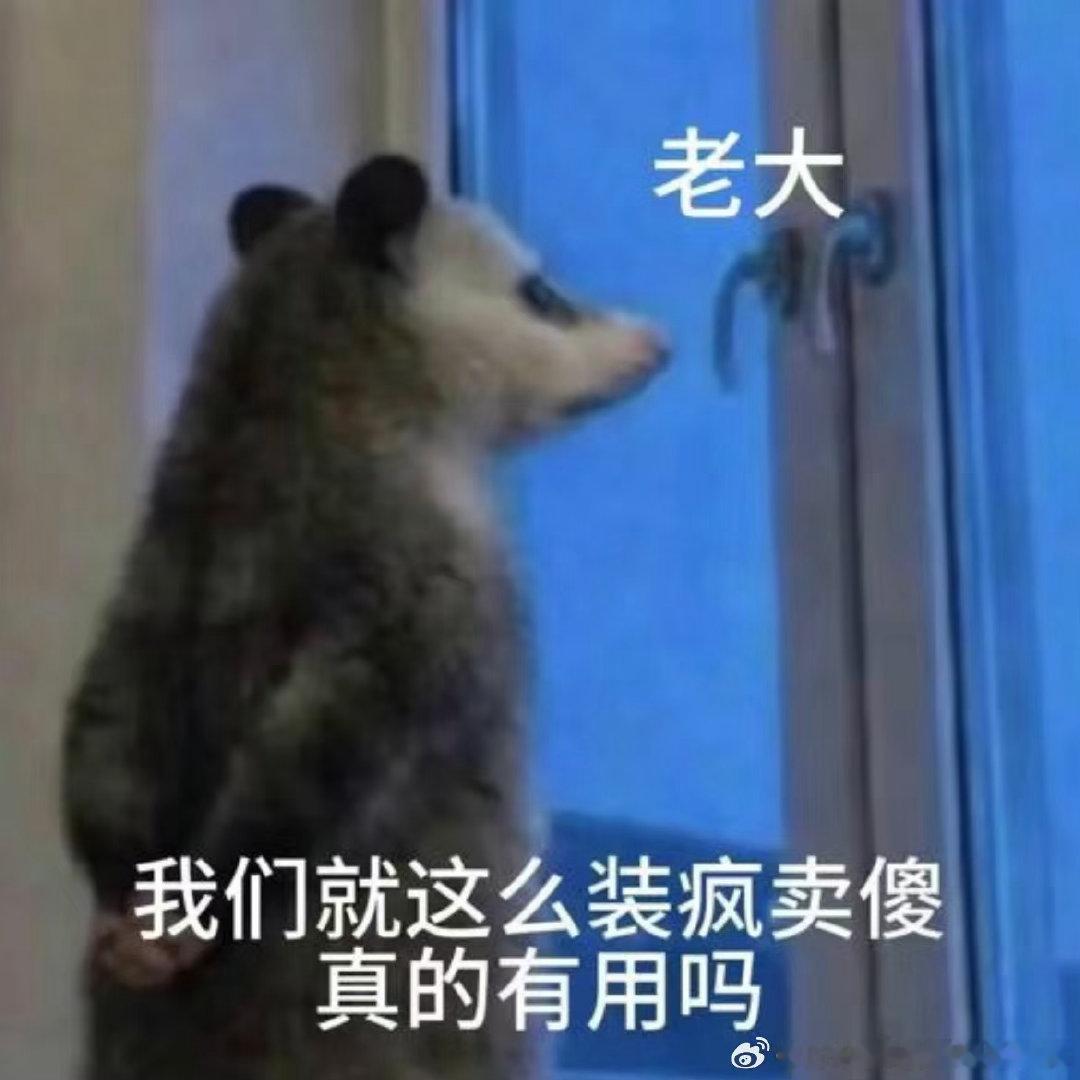 张泽禹我们这么装疯卖傻有用吗张泽禹表情包玩梗张泽禹玩转表情包玩梗，拿这个名场面梗