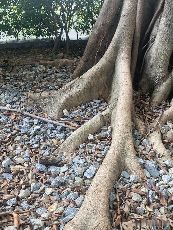 黄金价格已进入低价状况，你会买吗可以分享一张你拍的天空美照吗 发一张你们相册中最