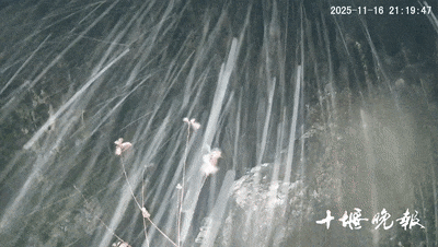 【湖北这里下雪了】今冬湖北首场寒潮来袭 据@十堰晚报，今晚9点多，十堰市郧西县湖