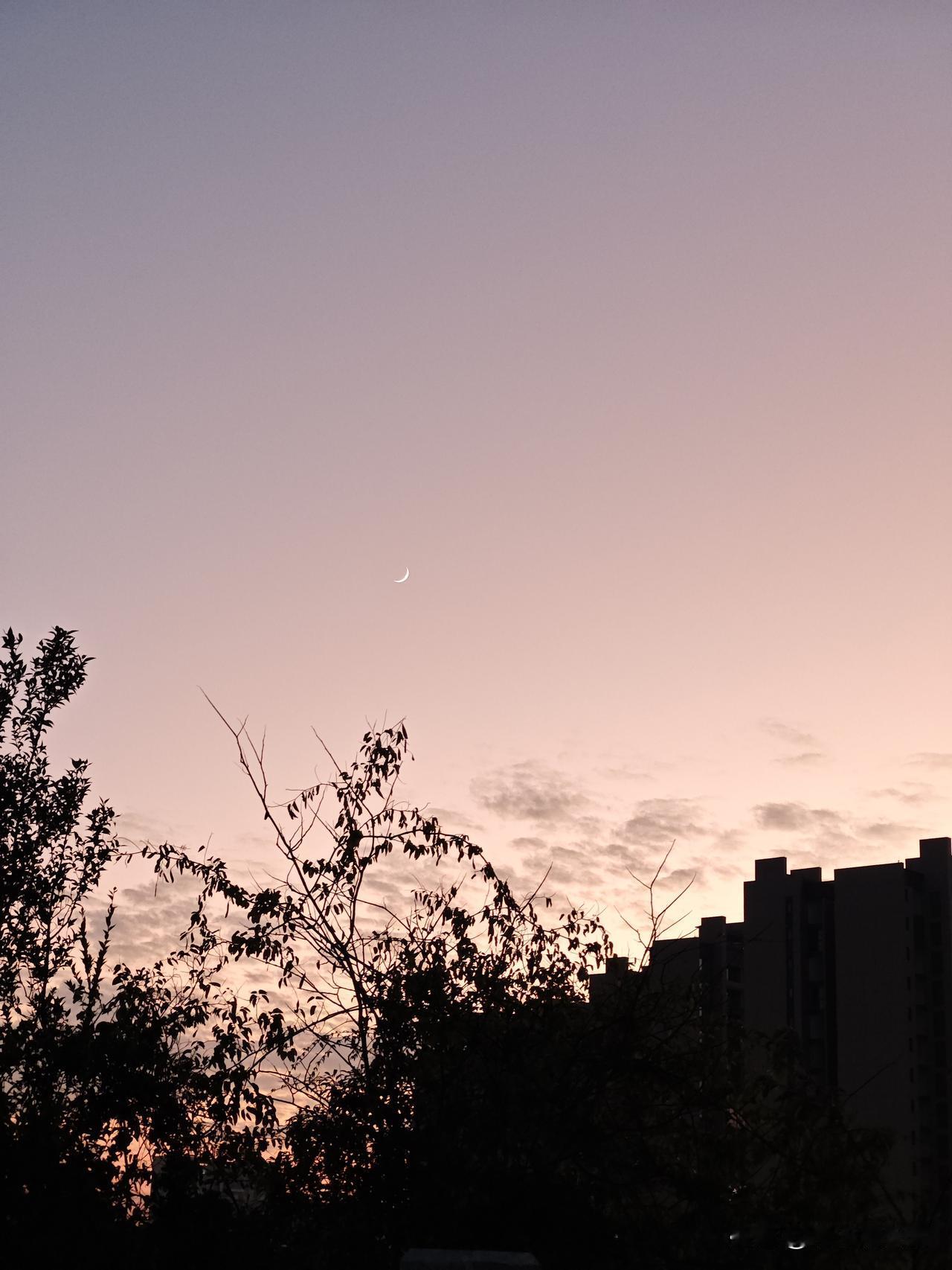 现在头条号的收益怎么样？什么内容流量比较高？