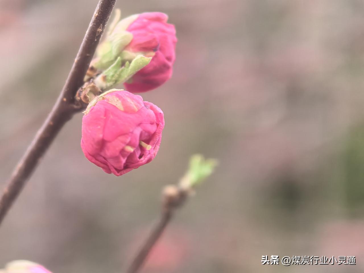 煤矿通风的精髓是什么煤矿通风核心精髓：风定路线、控瓦斯、降粉尘、调温湿、消缺氧，