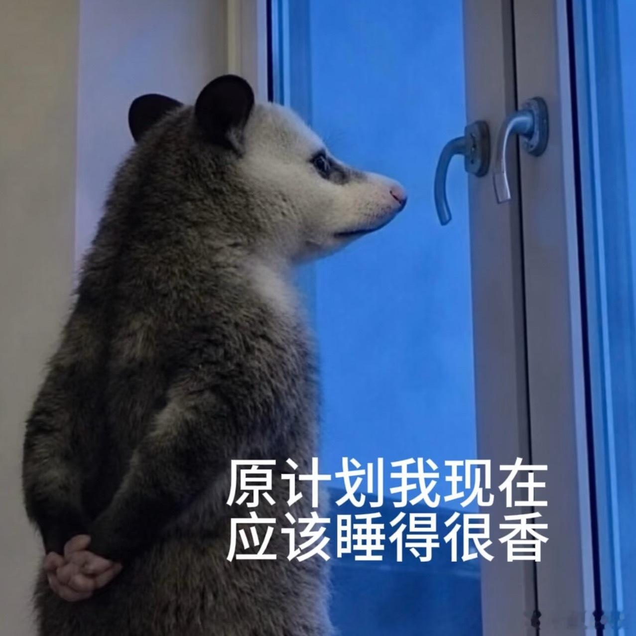 为什么23点到凌晨3点一定要睡觉，23点前睡觉第二天的状态确实会很好。可现实却是