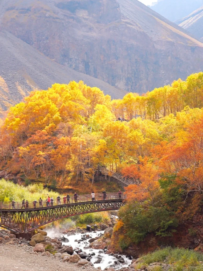 人生建议：9-10月一定要去长白山看秋天神话