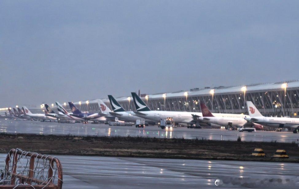 已经到机场了起飞越来越早 全是带孩子出去的啊 上海·上海浦东国际机场