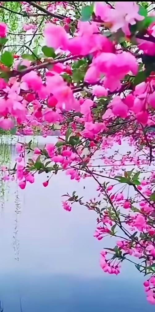 是太过分了？
婆婆住院，儿媳装病卖萌一天也没去伺候，二十天后婆婆病愈出院，老公毅