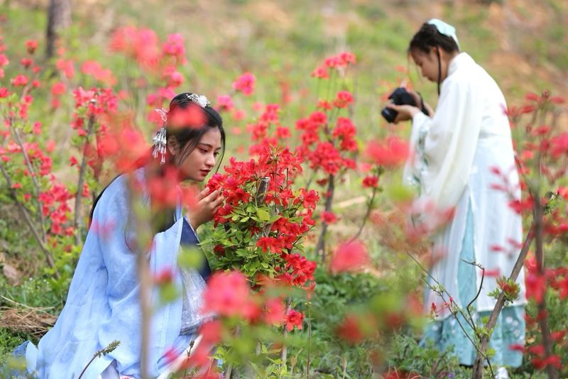 “十二花神”的选出是个逐渐演变的过程。最初花神如女夷与花姑，只是总管百花。唐宋时