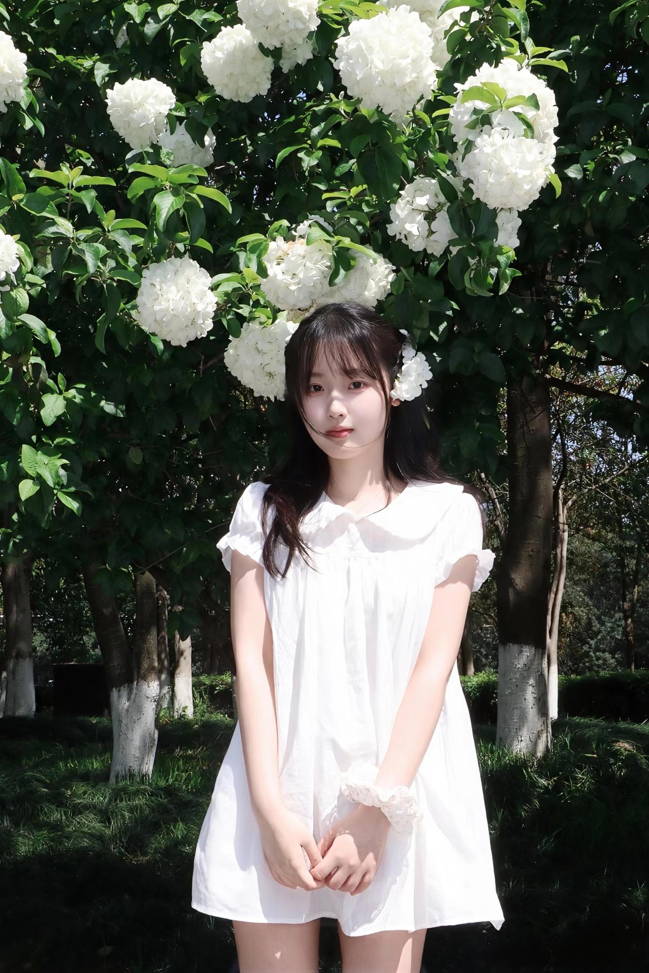 夏日清新少女，白色连衣裙与盛开的绣球花相映成趣，自然美如画。