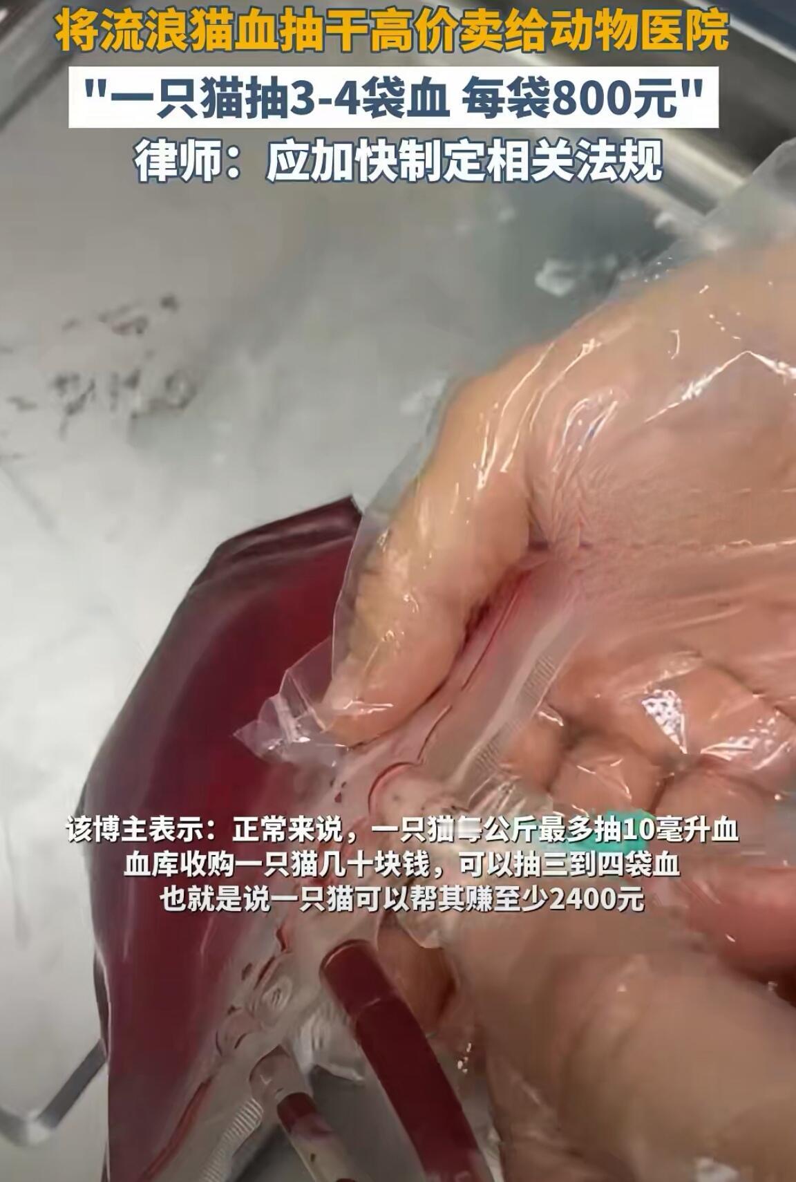 真没想到，现在连宠物输血都有这种黑心产业链了。最近广州一个动物血库被扒出来，干的