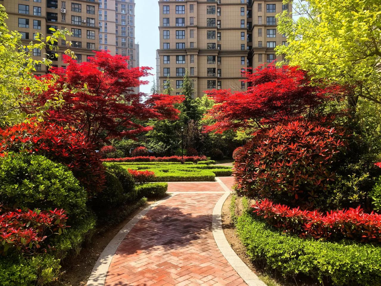 发照片看看你小区环境山东省威海市乳山市银滩银龙湾南区。