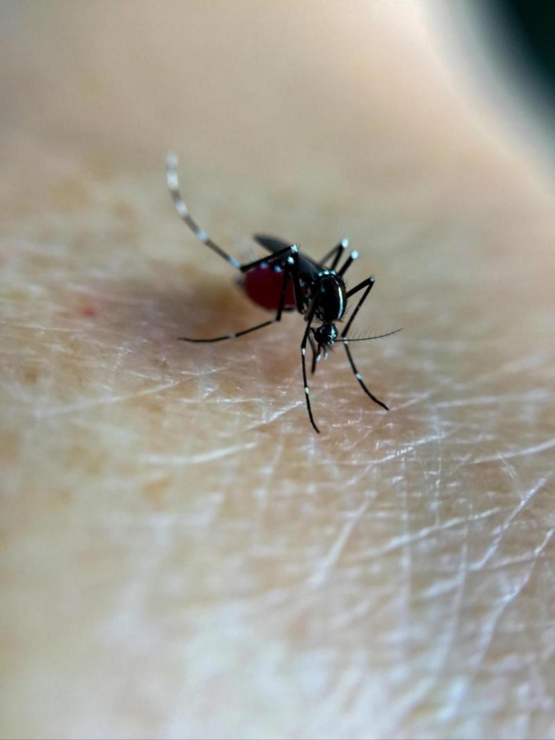 硬卧上睡一觉，手竟肿成馒头？佟女士乘坐列车时被虫咬，索赔却遭拒，这究竟是怎么回事