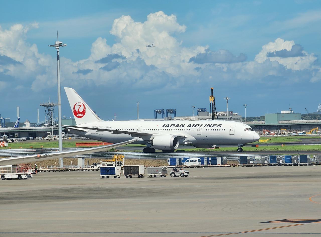 50万张赴日机票取消，到年底的话，大约对应3300个左右架次的航班，对应到每天接