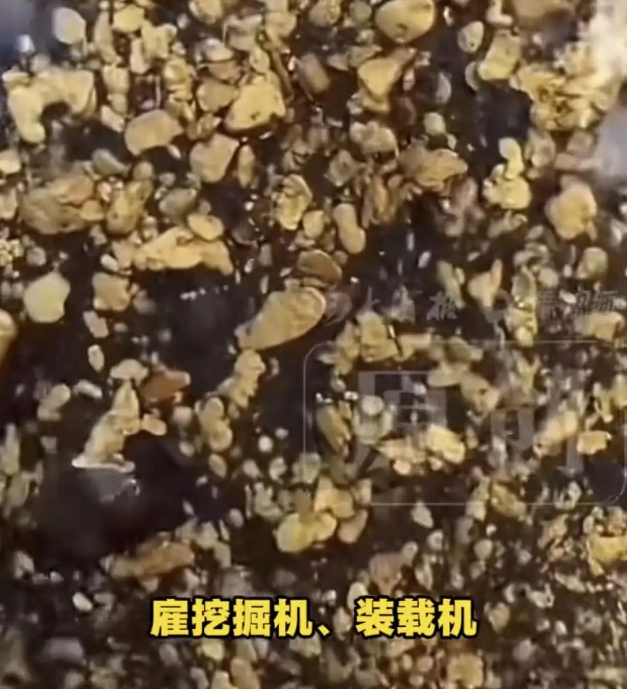 有人说，我把自己家自留地里的土过一遍筛子淘到黄金碍着谁了？

好家伙，这黄金就这