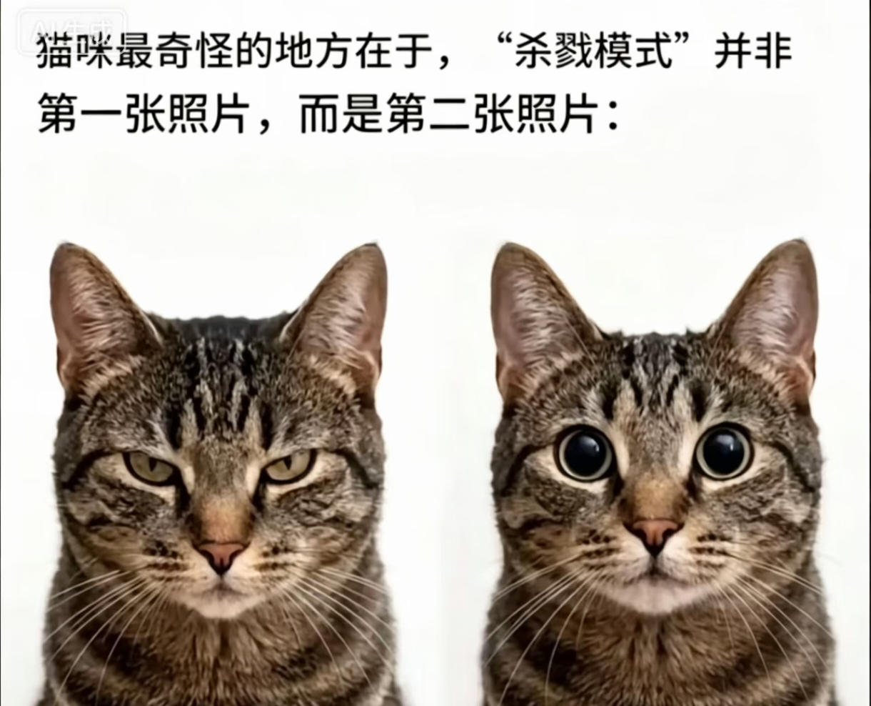 平时：                  纱人时： ​​​