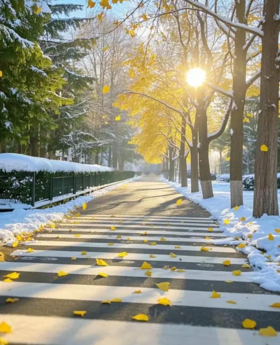 周二 人生没有如果，只有努力与结果，不想认命就要拼搏。不想穷一辈子，就要辛苦一阵
