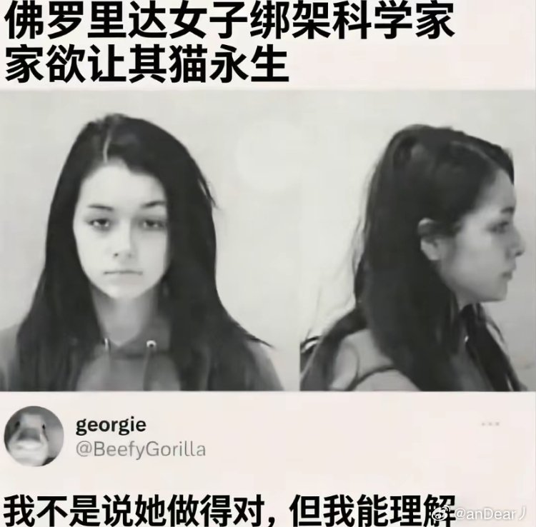 猫咪：人 下辈子咪也跟着你 