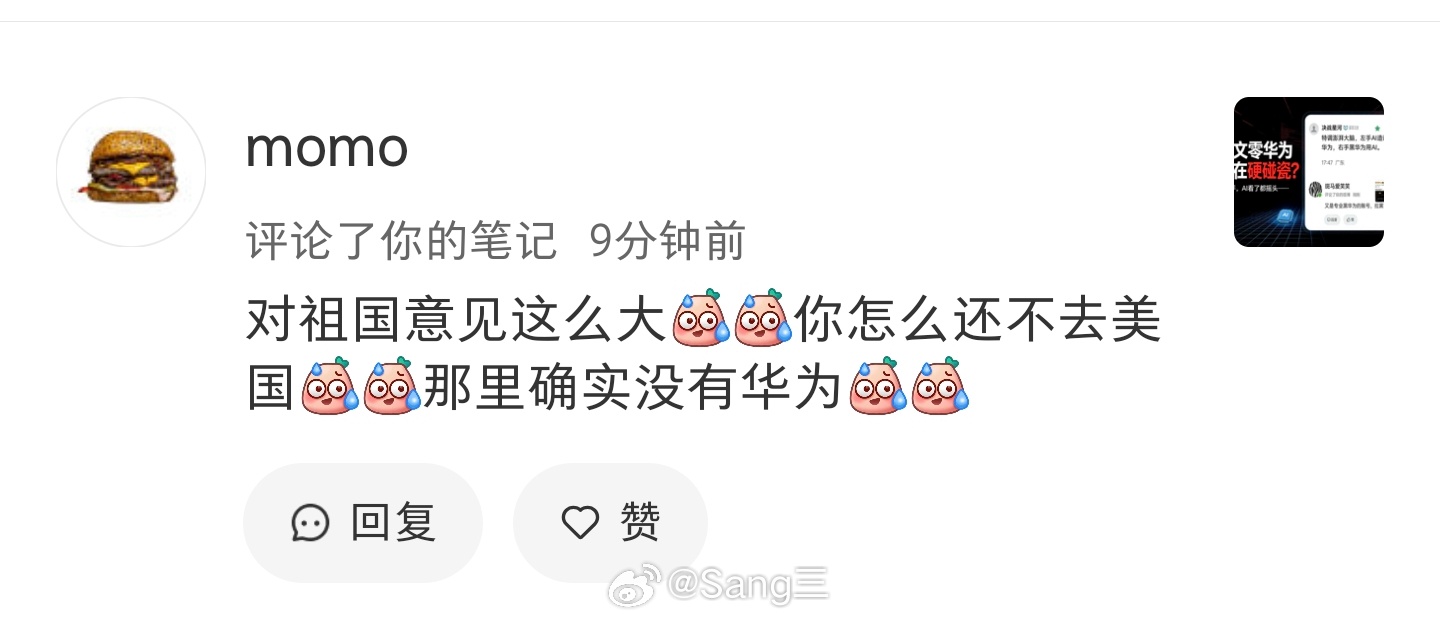经典无中生有，经典看不懂人话，经典扣大帽子……我吐槽「大嘴洞悉Plus」和那些无