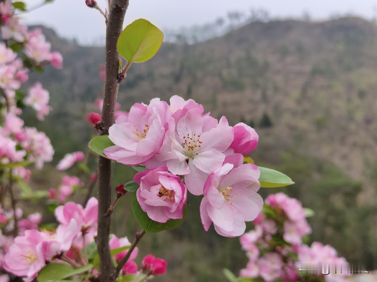 允许一切发生。这个世界上，没有好坏，没有对错，只是大家处在不同的频率，允许自己做